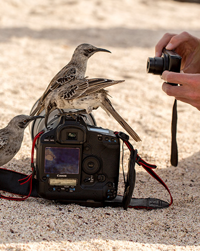 Galapagos, photo, tour, ecuador, itk, voyage