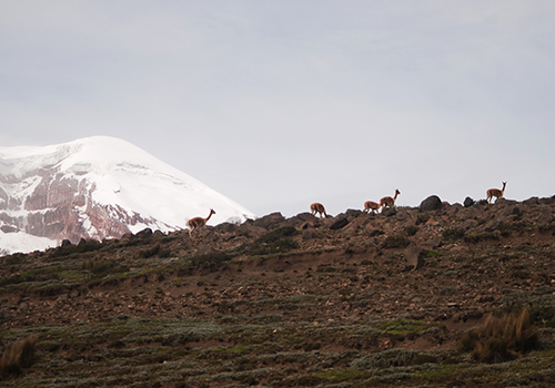 andes national parks ecuador itk voyage