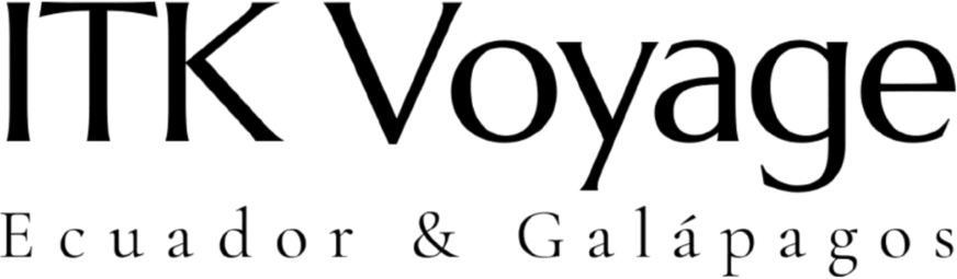 itk-logo-2027-b